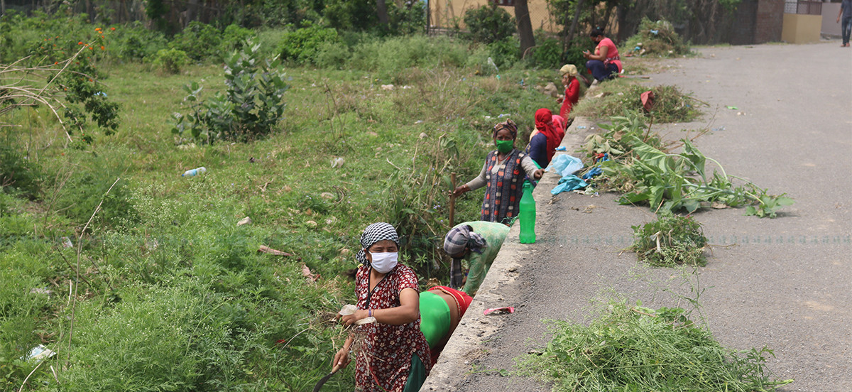 https://raracms.setopati.com/uploads/shares/2020/sramik bank (1).jpg